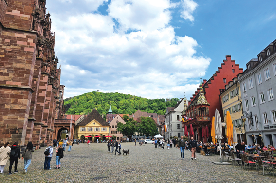 Black Forest