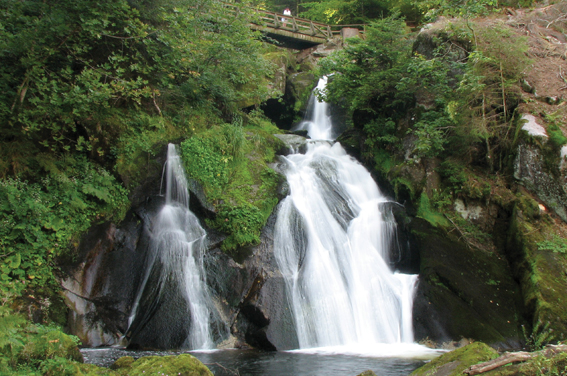 Black Forest