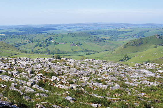 Derbyshire and Mersey Delights