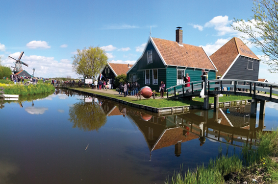 Dutch Delights