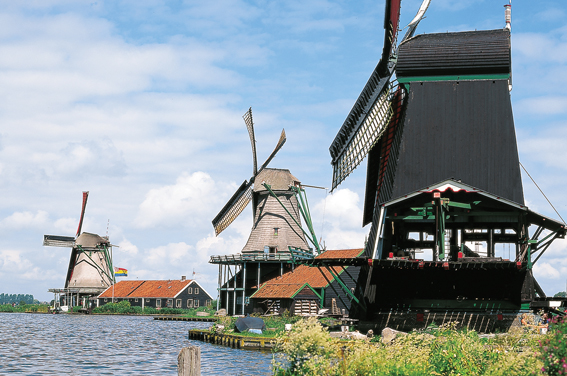 Dutch Delights