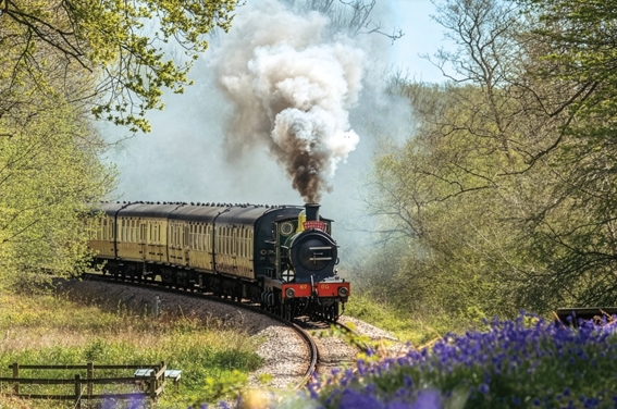 Eastbourne & The Bluebell Railway