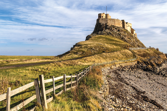 Golden Age of Northumbria & Farne Islands Puffins