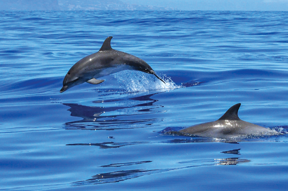 Scottish Highlands All Inclusive