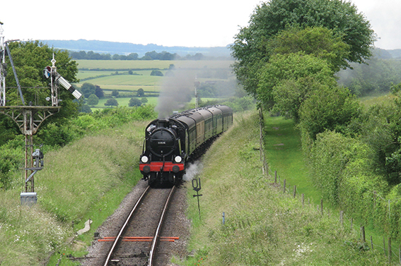 Steam, Gin & New Forest