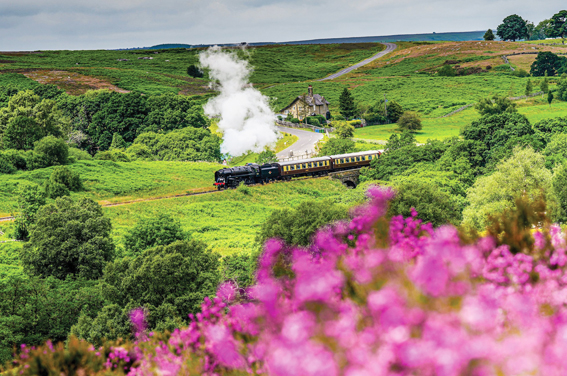 Yorkshire Delights